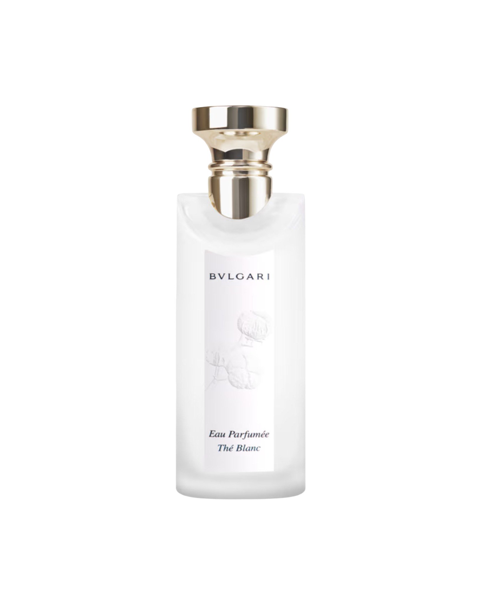 Bvlgari Eau Parfumée Thé Blanc 75ml Eau De Toilette – MYSC parfumerie