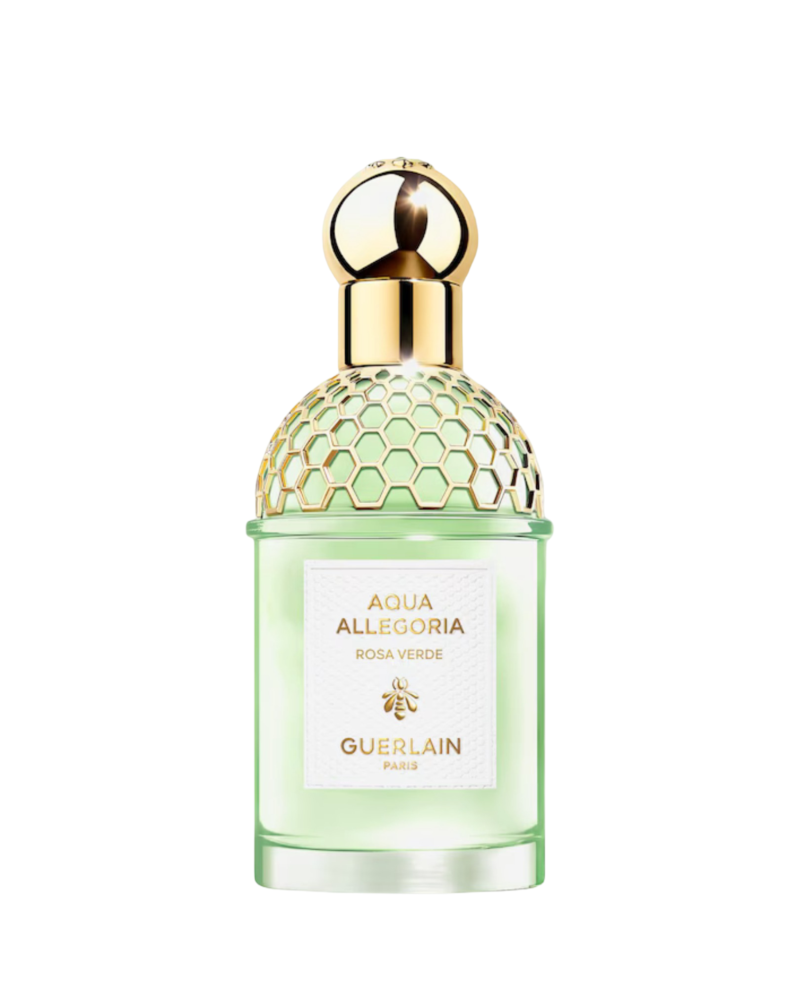 1752247976_aqua_allegoria_rosa_verde.png