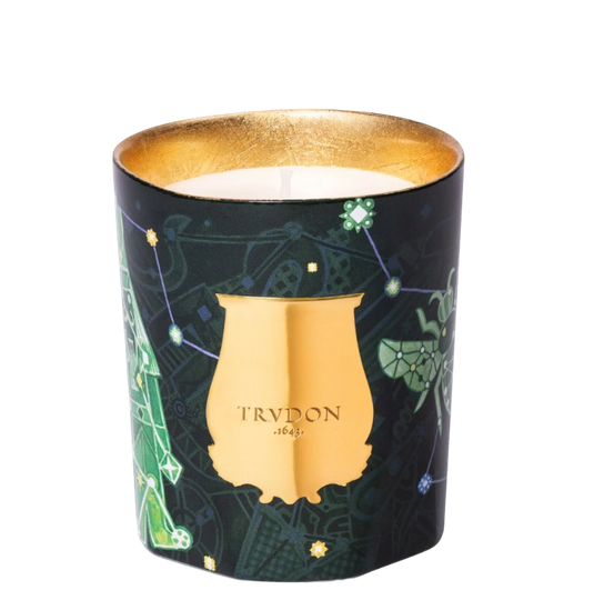 1760608872_cire-trudon-fir.png