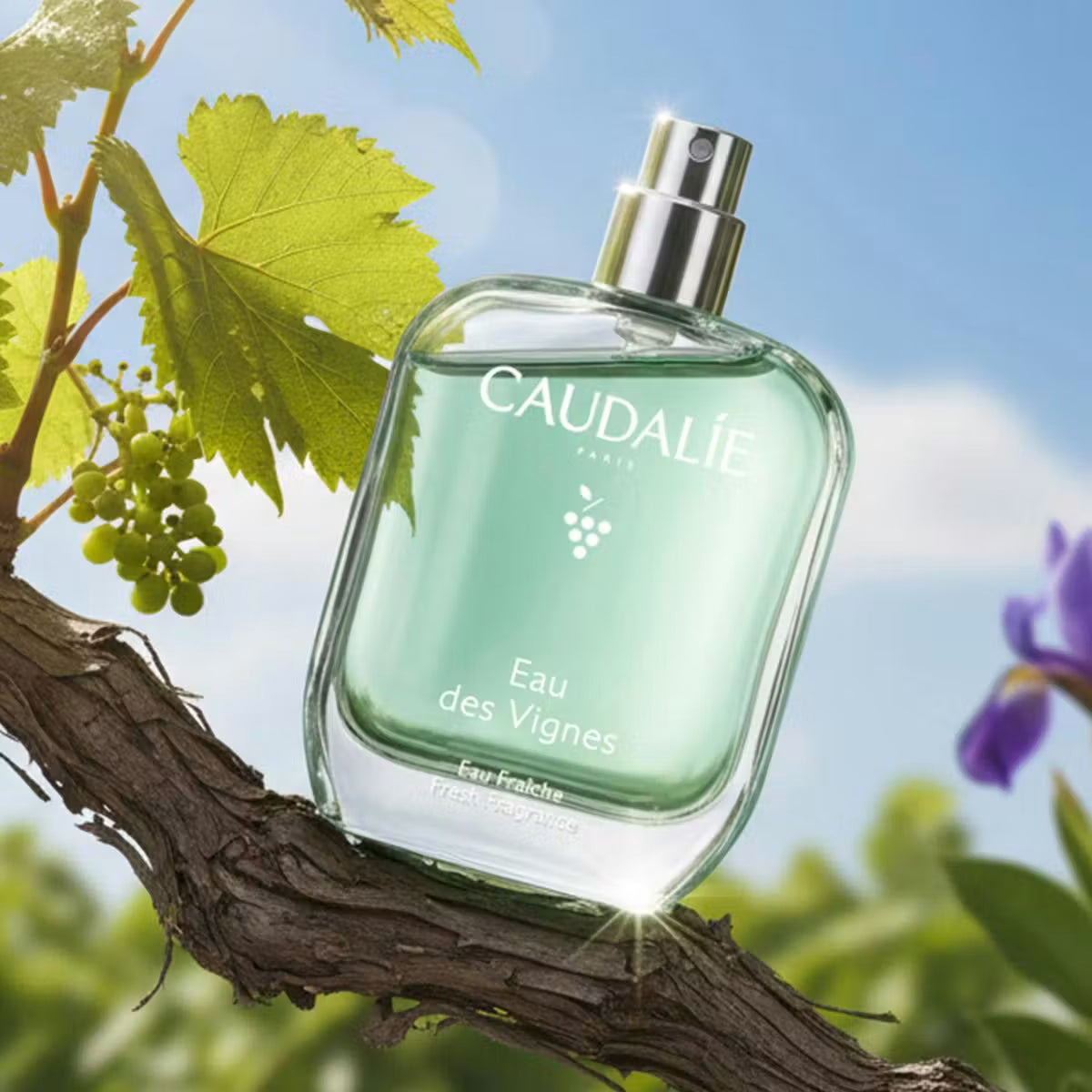 Caudalie Eau des Vignes Eau Fraîche