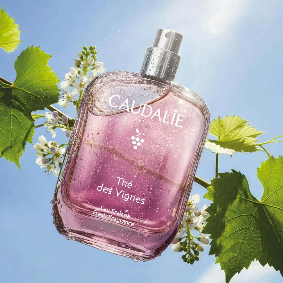 Caudalie Thé des Vignes Eau Fraîche