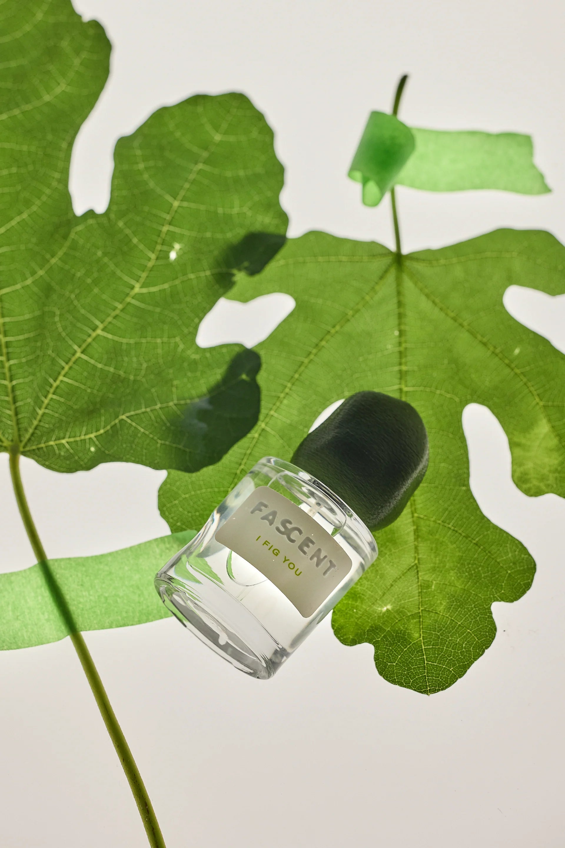 Fascent I Fig You Eau de Parfum
