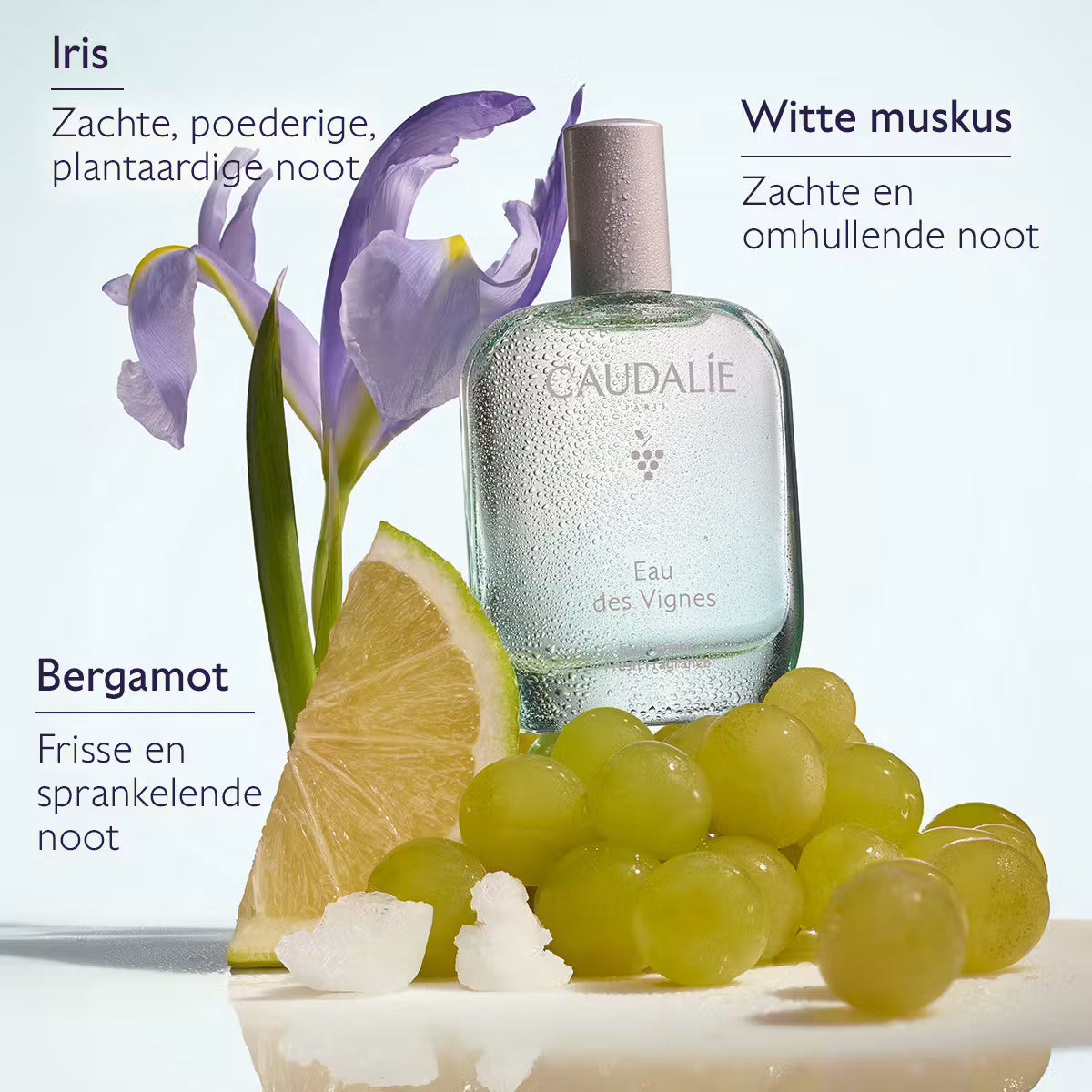Caudalie Eau des Vignes Eau Fraîche