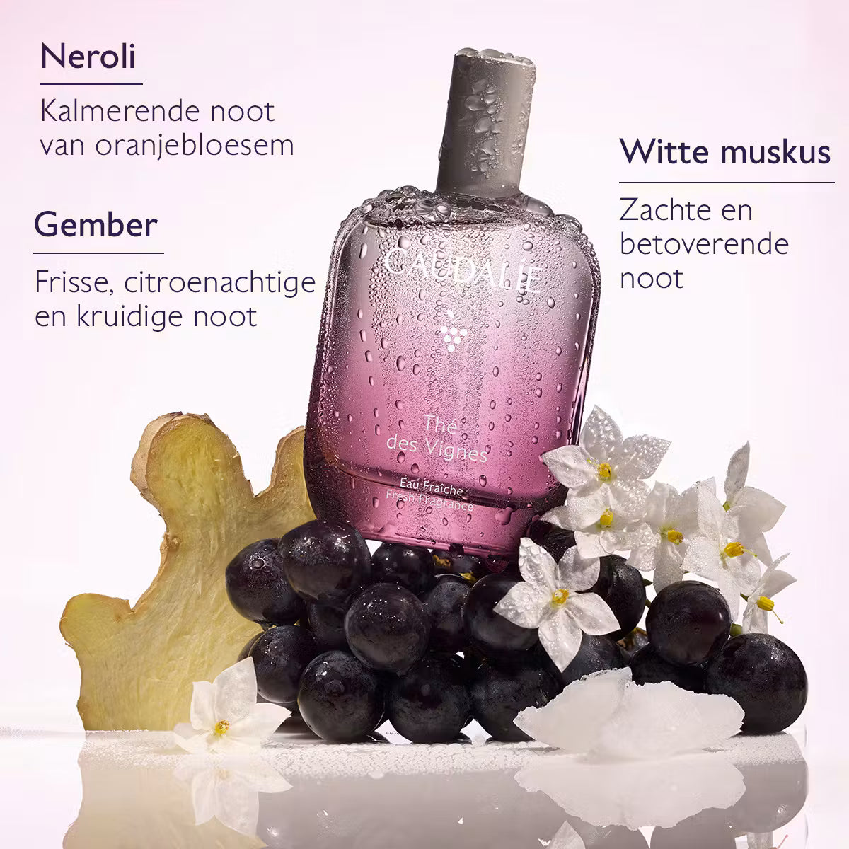 Caudalie Thé des Vignes Eau Fraîche