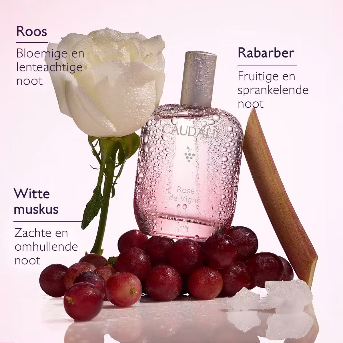 Caudalie Rose de Vigne Eau Fraîche