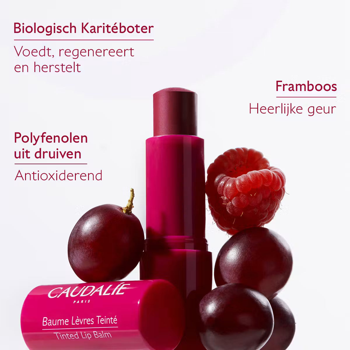 Caudalie Vinotherapist Getinte Lippenbalsem