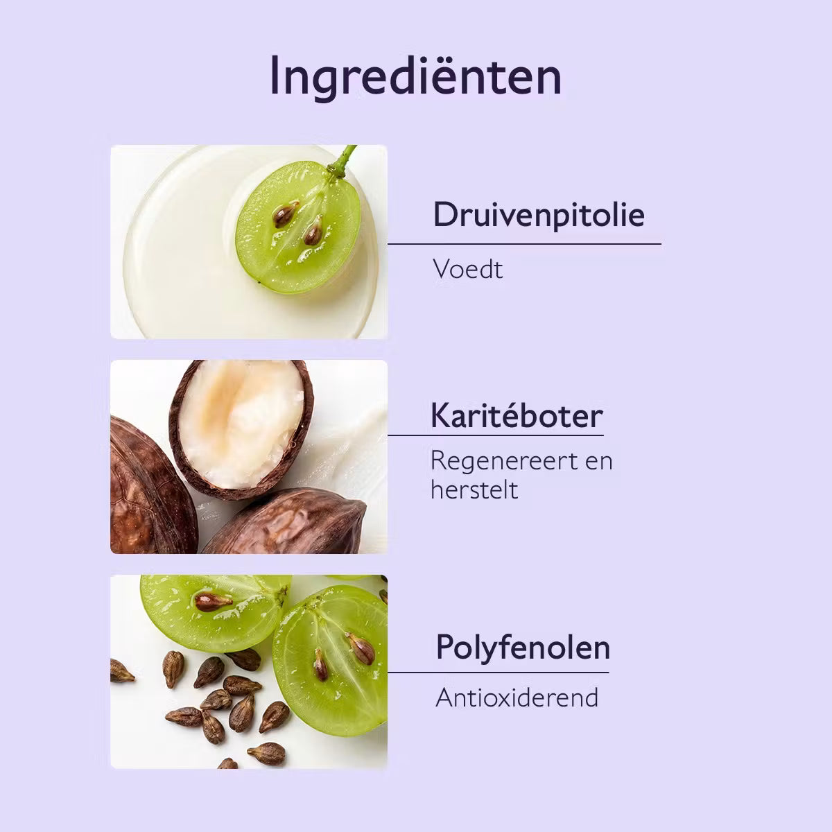 Caudalie Vinotherapist Herstellende Hand- en Nagelcrème