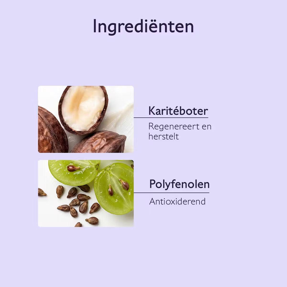 Caudalie Vinotherapist Lipverzorging