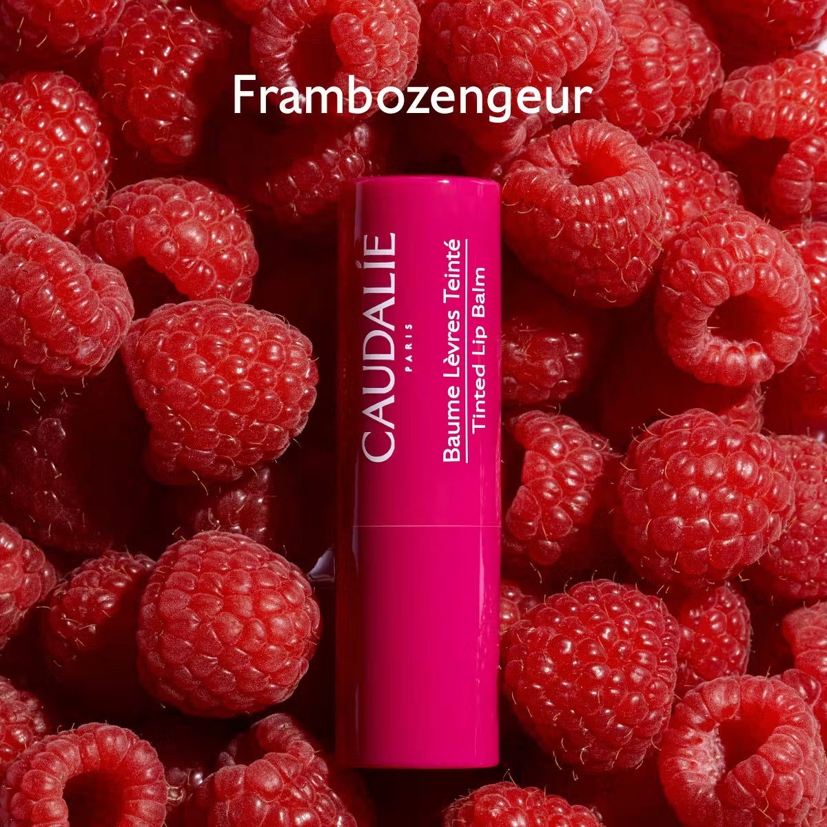 Caudalie Vinotherapist Getinte Lippenbalsem