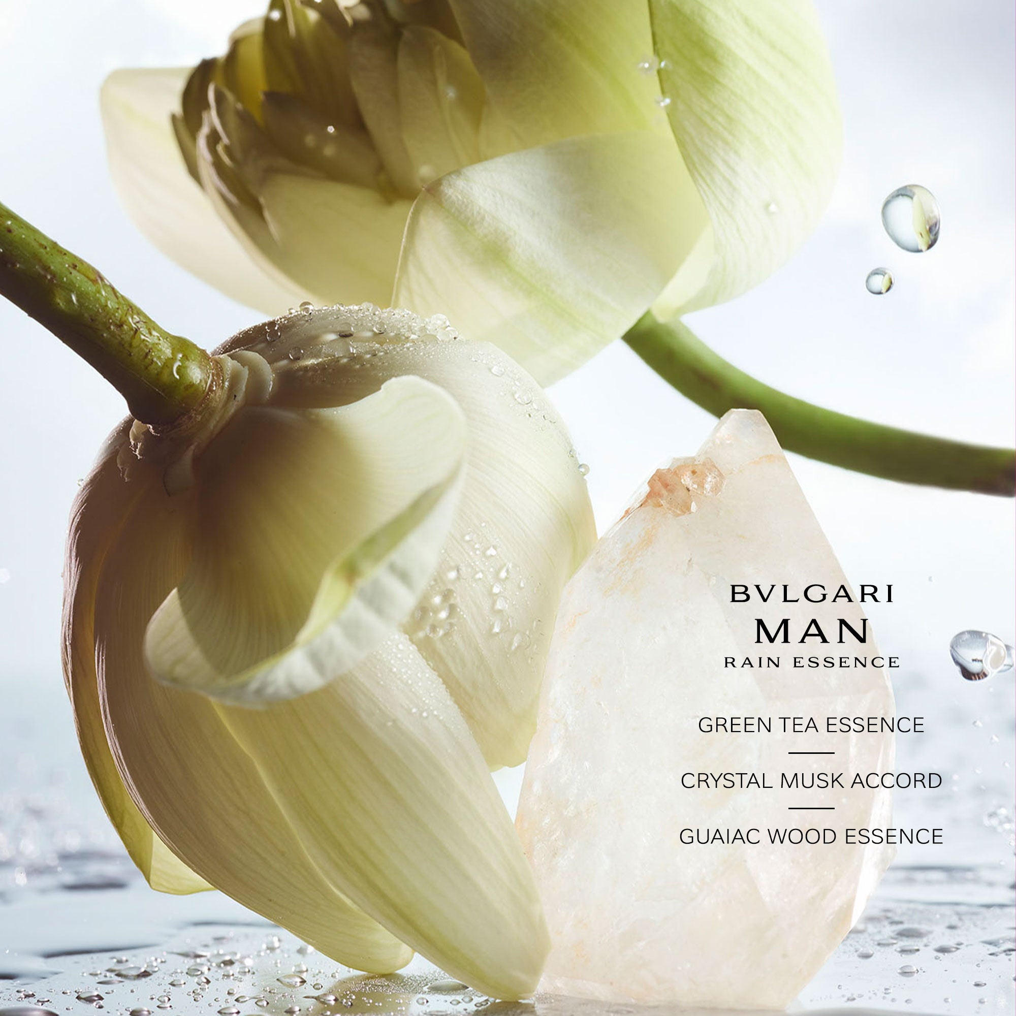 Bvlgari Man Rain Essence