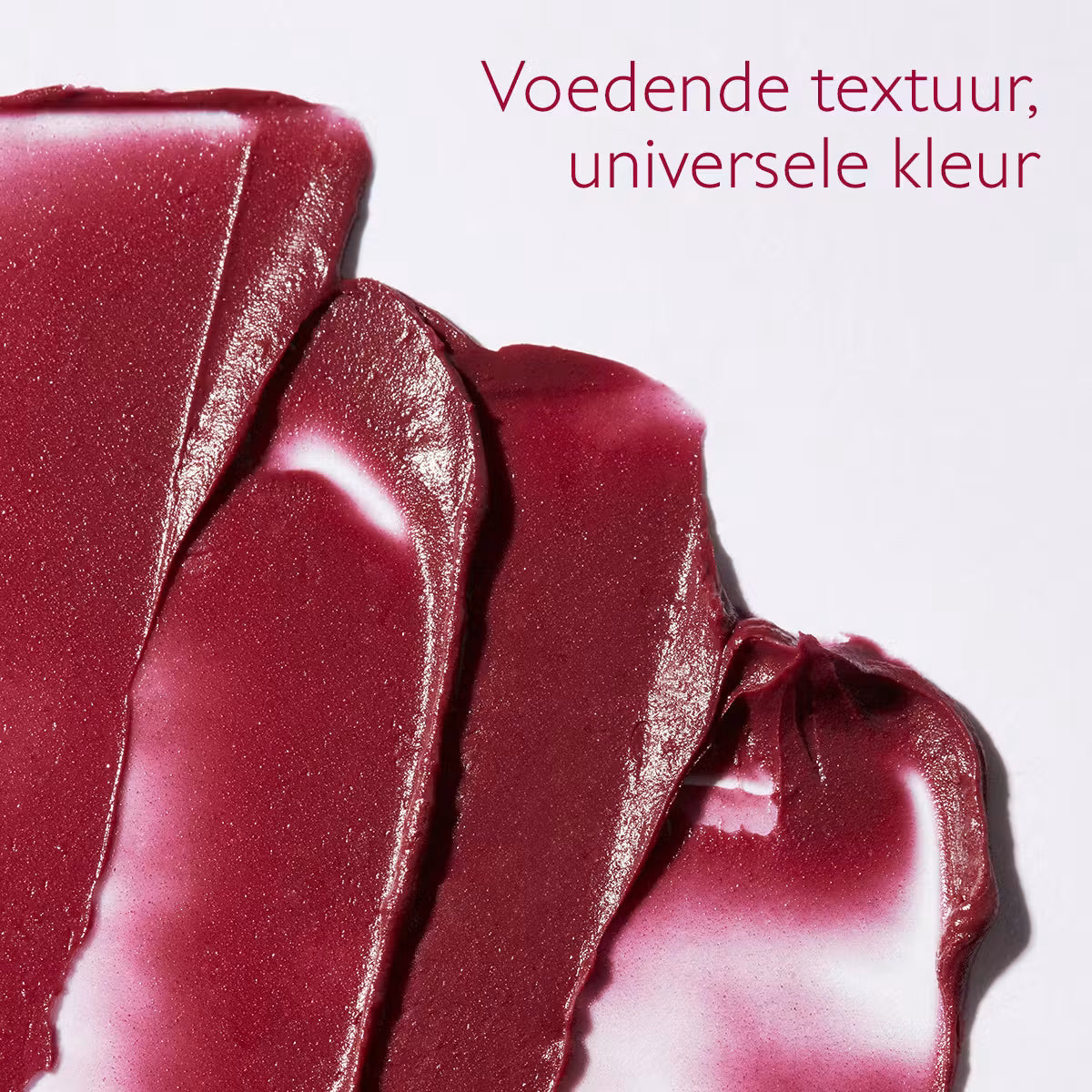 Caudalie Vinotherapist Getinte Lippenbalsem