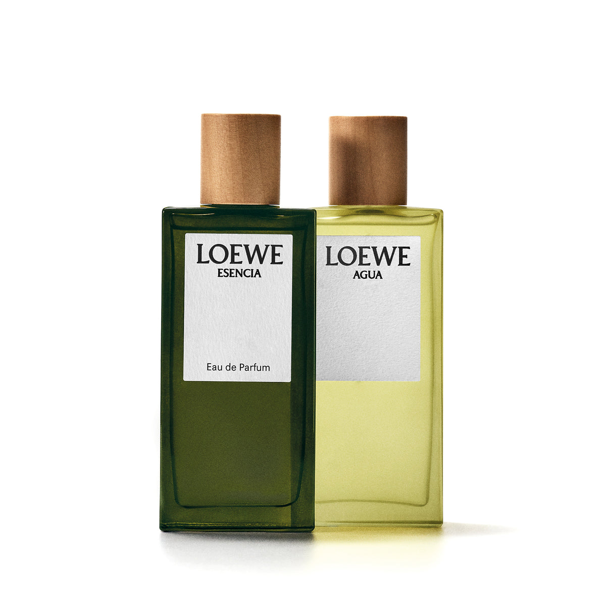 LOEWE AGUA Eau de Toilette