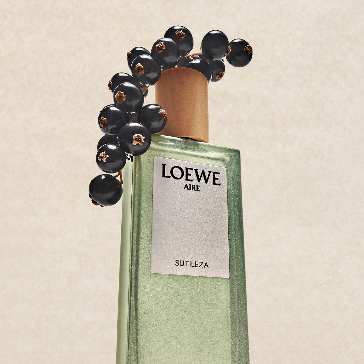 LOEWE ELIXIR AIRE SUTILEZA Eau de Parfum