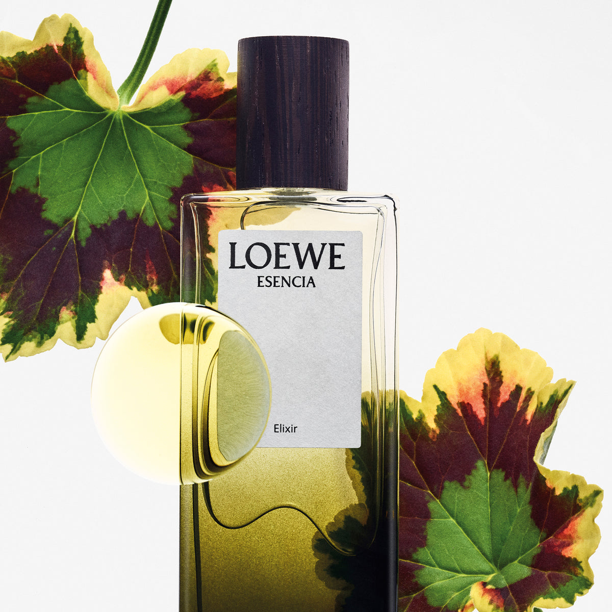 LOEWE ELIXIR ESENCIA Eau de Parfum