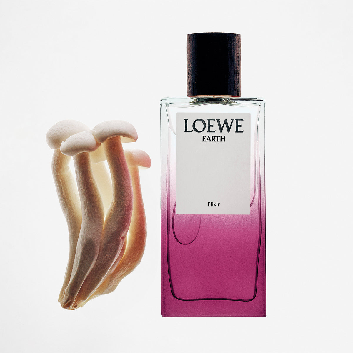 LOEWE EARTH ELIXIR Eau de Parfum