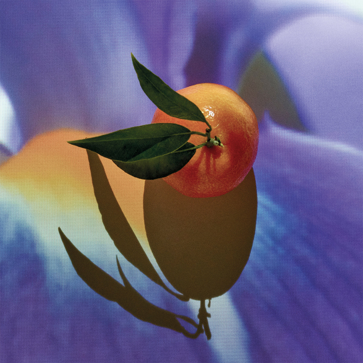 LOEWE ELIXIR SOLO Eau de Parfum