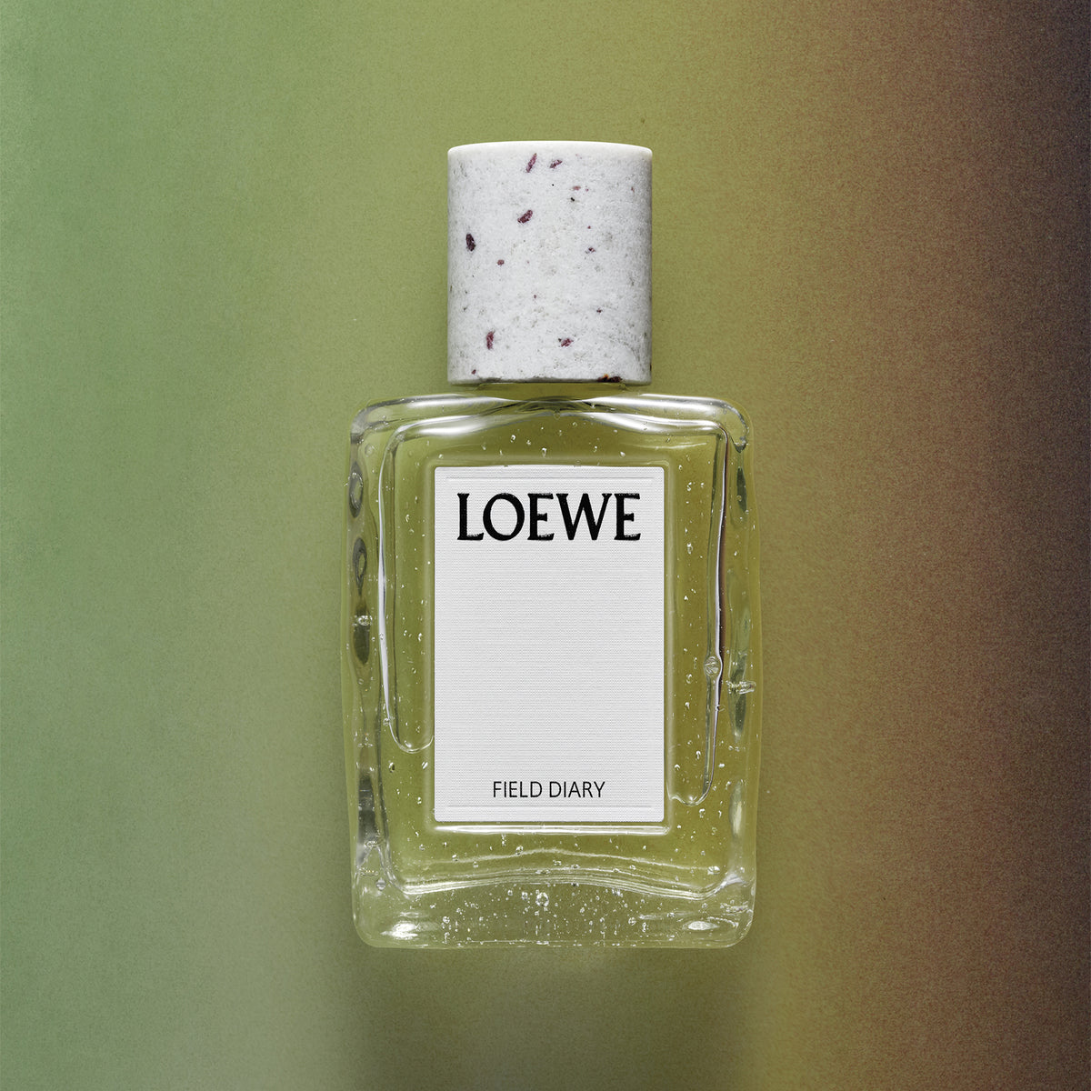 LOEWE CRAFTED Field Diary Eau de Parfum