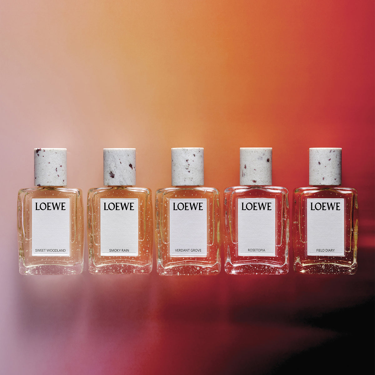 LOEWE CRAFTED Sweet Woodland Eau de Parfum
