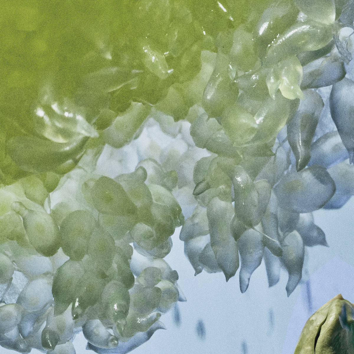 LOEWE CRAFTED Verdant Grove Eau de Parfum