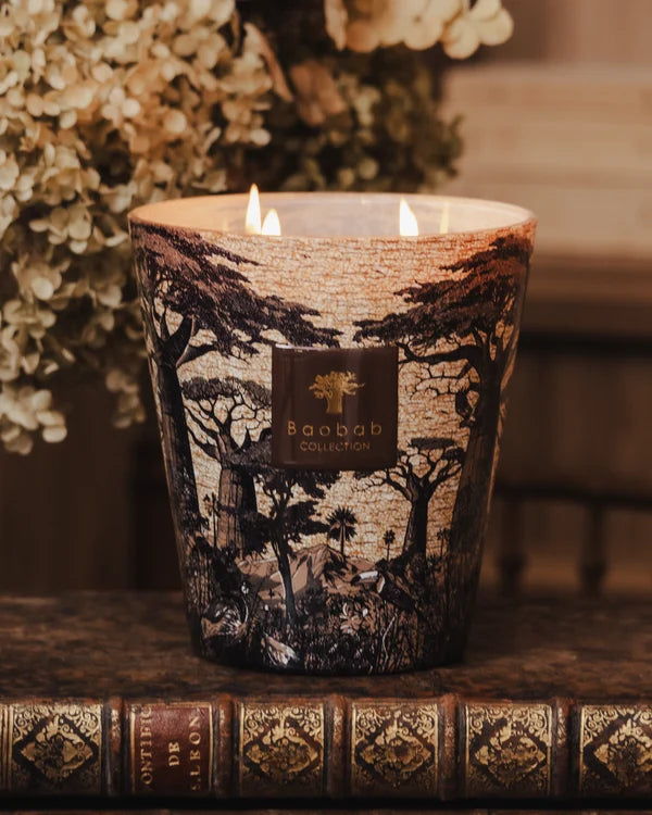 Baobab Candle Sacred Trees Mankono