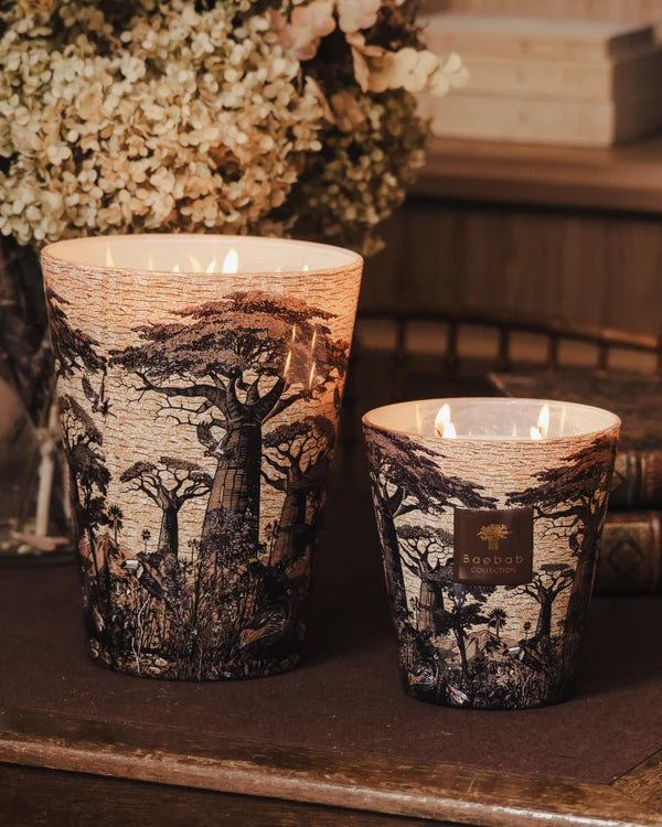 Baobab Candle Sacred Trees Mankono