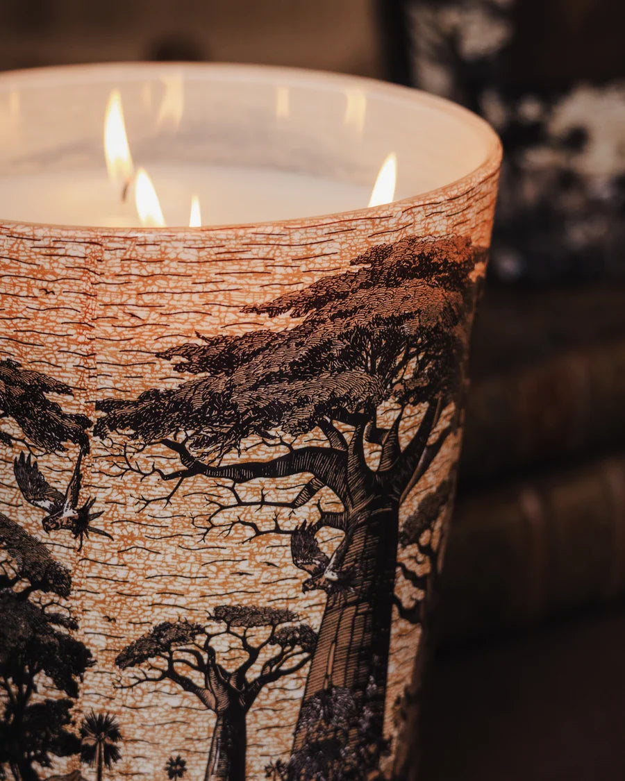 Baobab Candle Sacred Trees Mankono