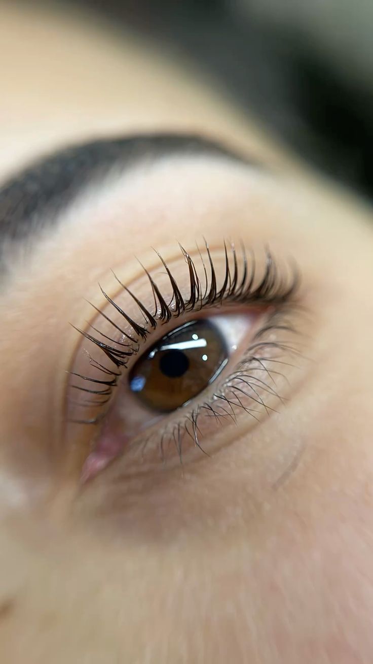 Wimperlift