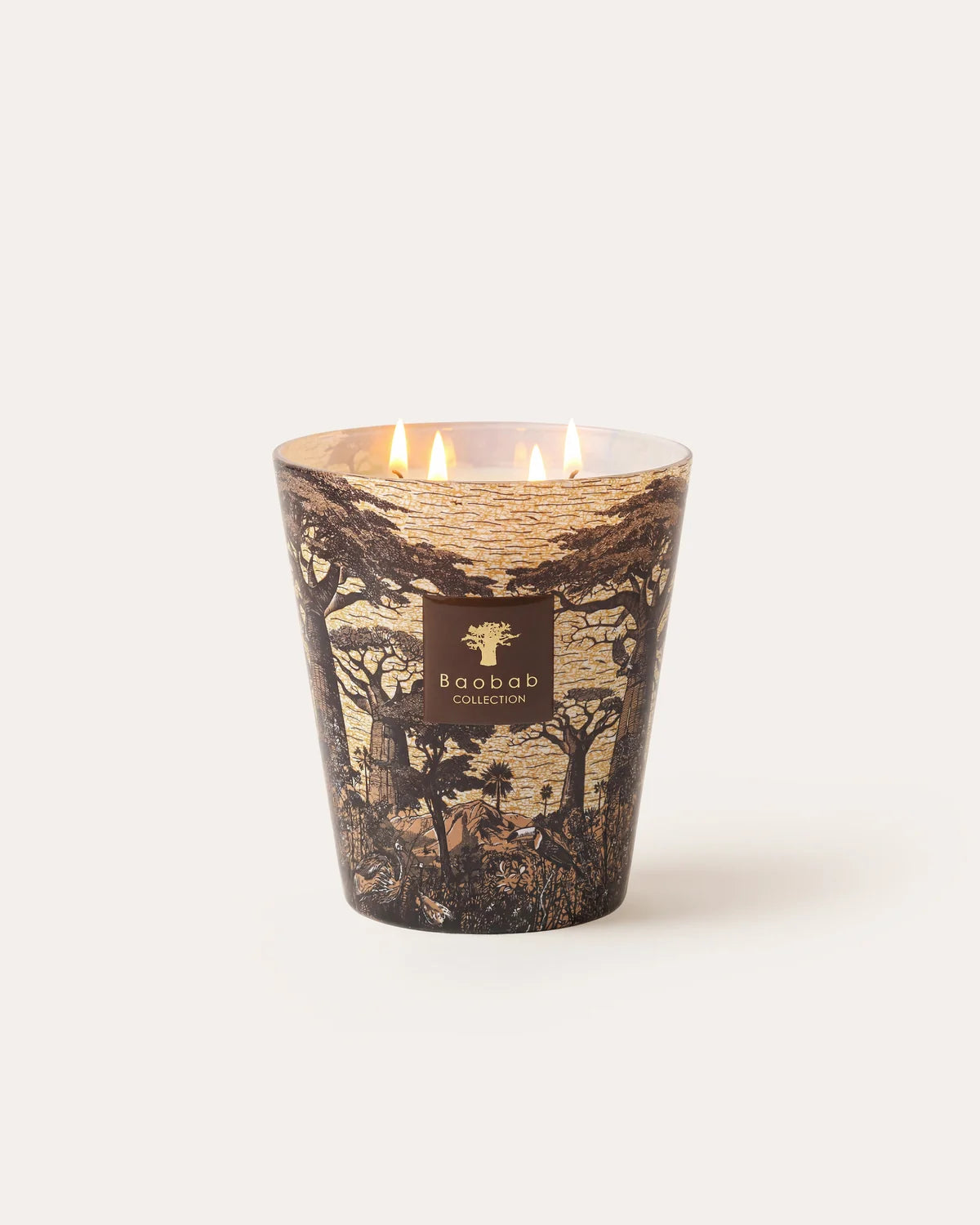 Baobab Candle Sacred Trees Mankono
