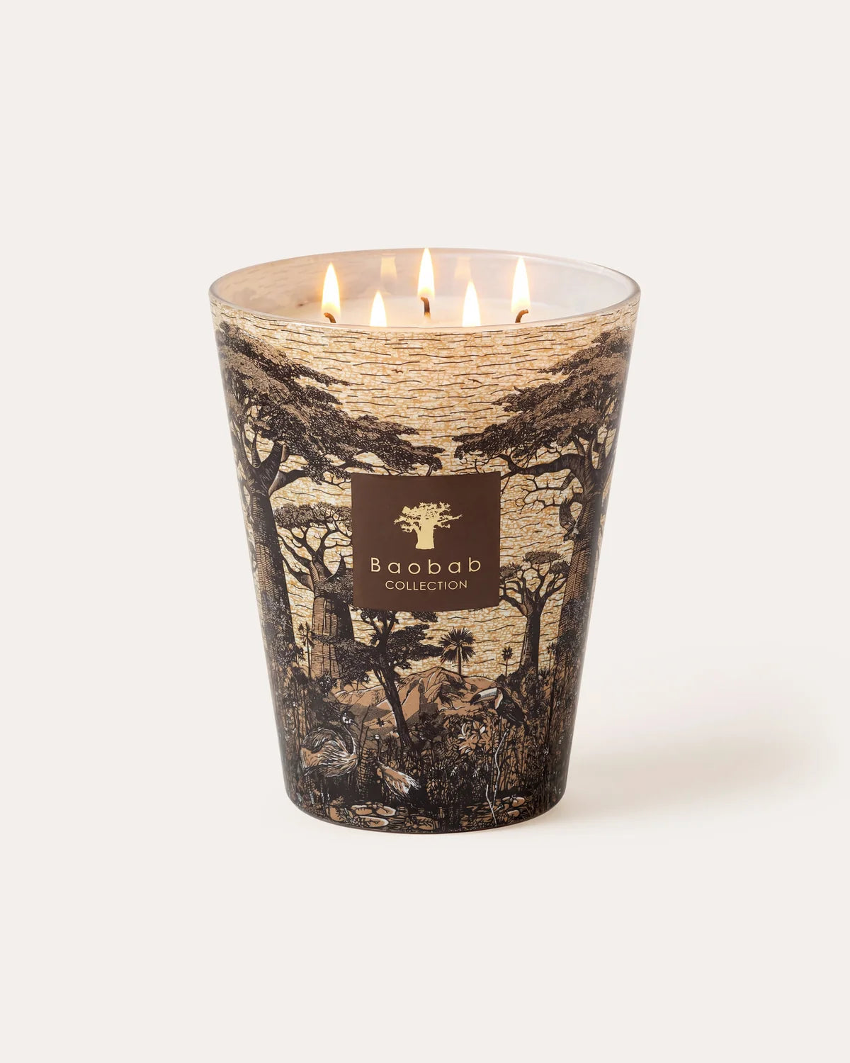 Baobab Candle Sacred Trees Mankono