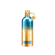 Montale Day Dreams