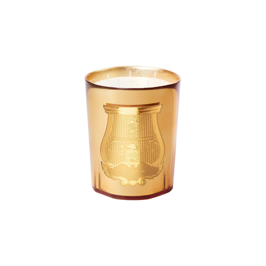 Trudon Galerie Des Flammes Scented Candle