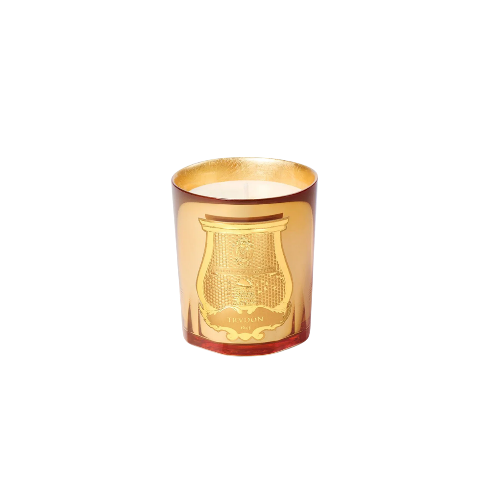Trudon Galerie Des Flammes Scented Candle