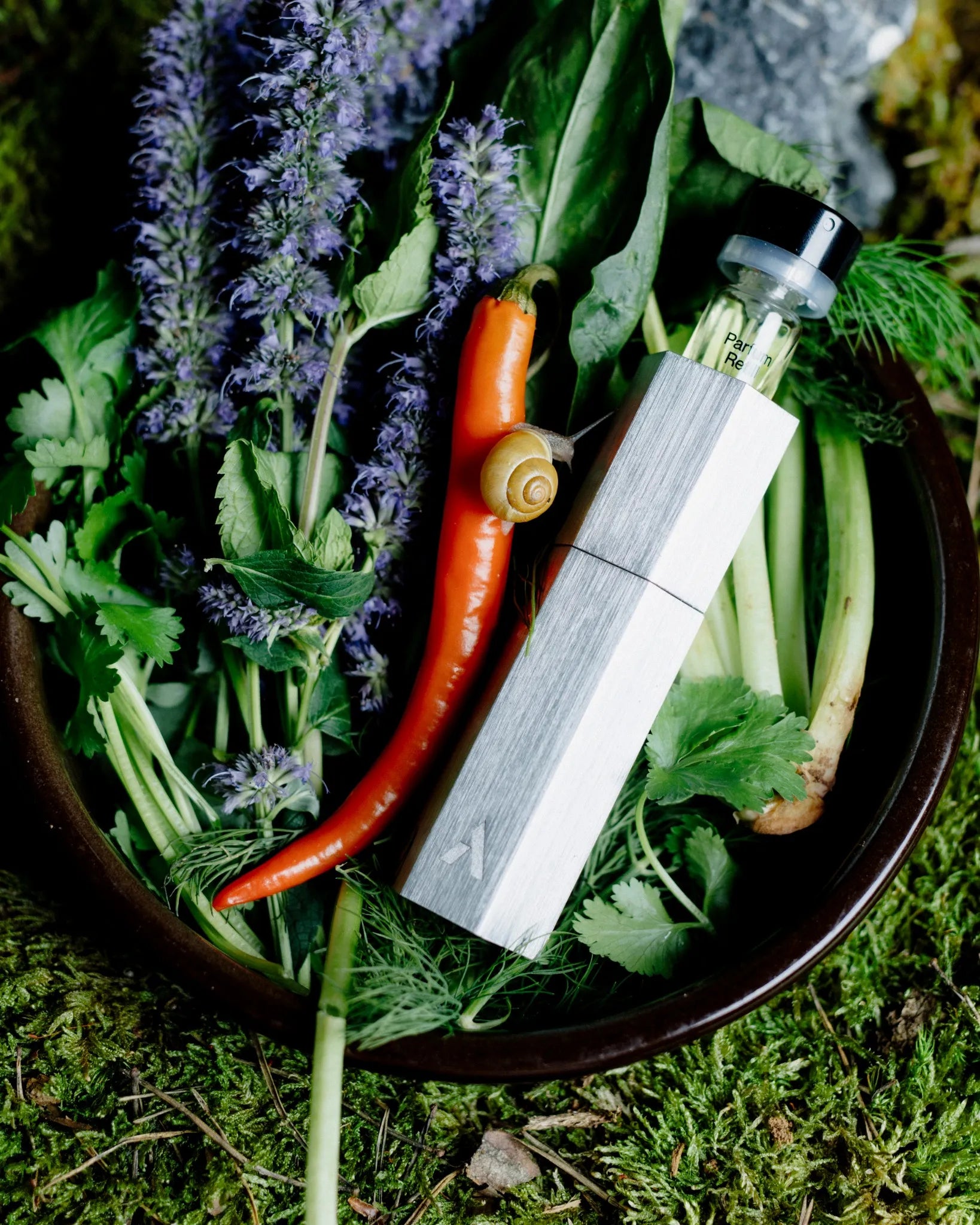 Ascent Starterpack Silver Case Green Parfum