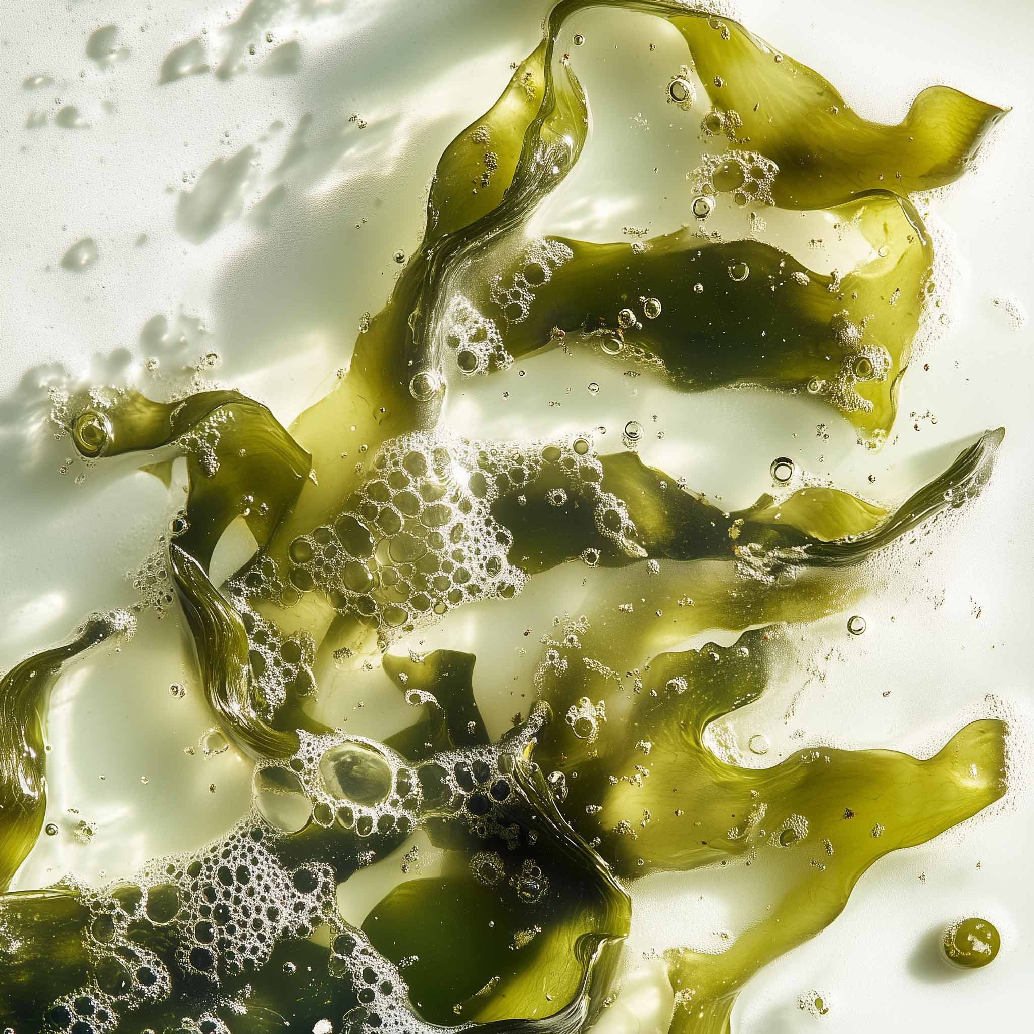 Leonor Greyl Bain Volumateur Aux Algues