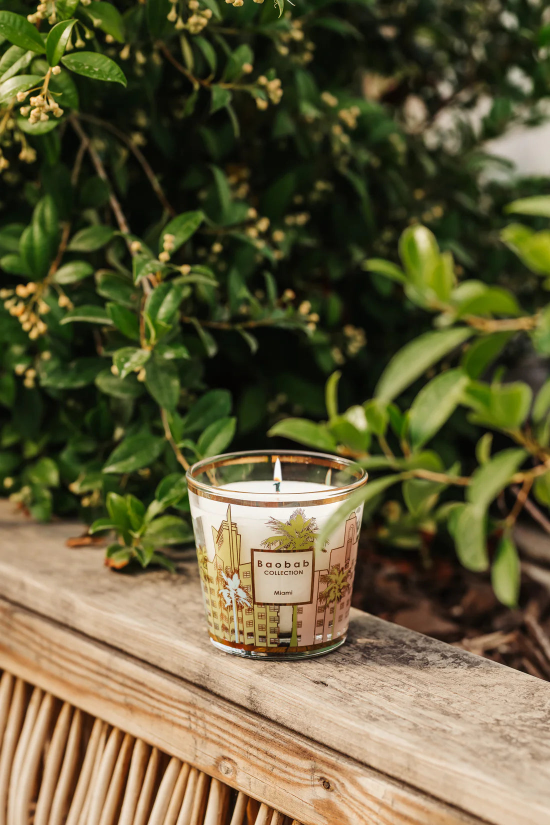 Baobab Candle Miami