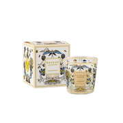 Baobab Tomorrowland 2026 Candle