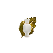 Bvlgari Magnifying Patchouli Essence