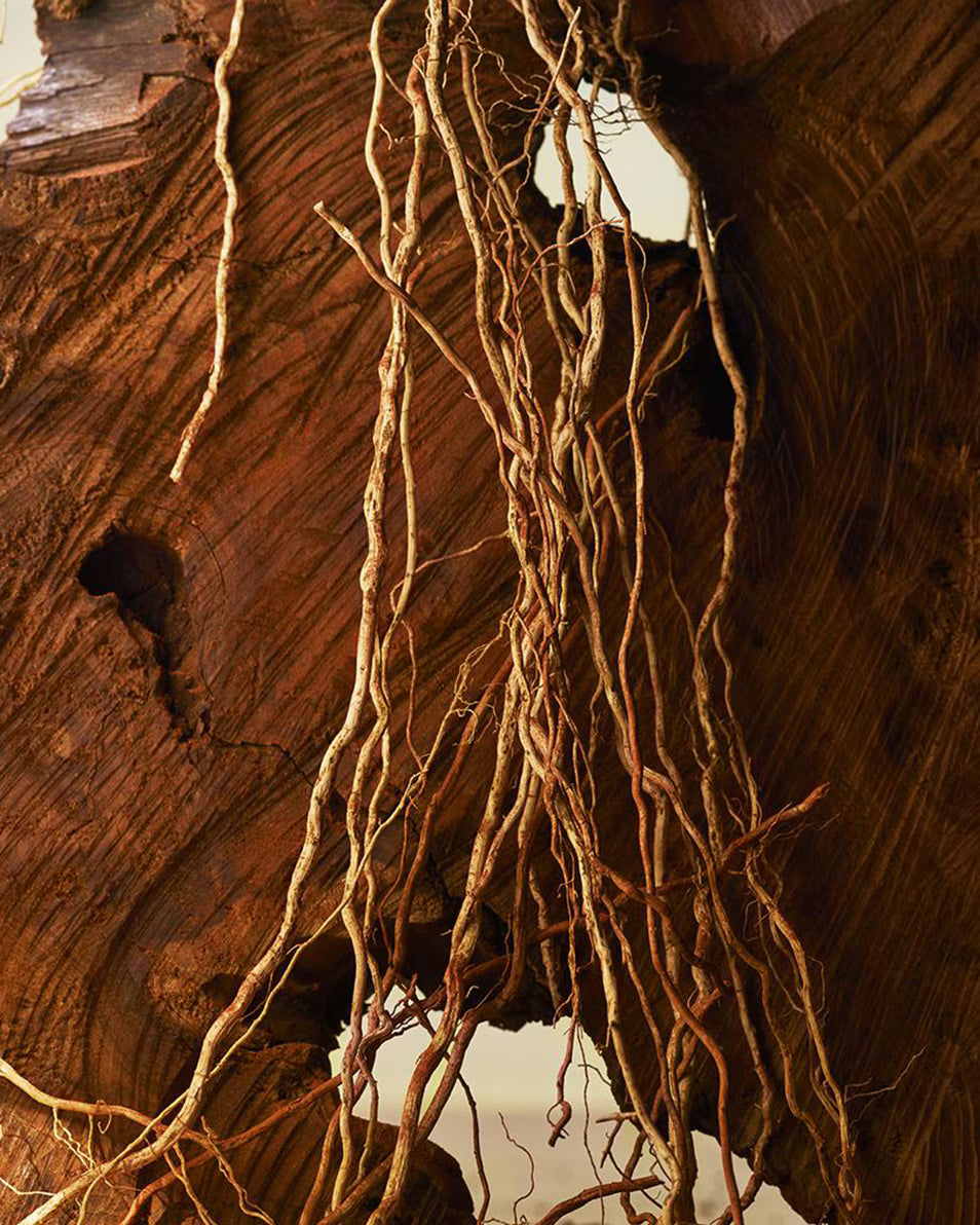 Bvlgari Man Terrae Essence Eau de Parfum