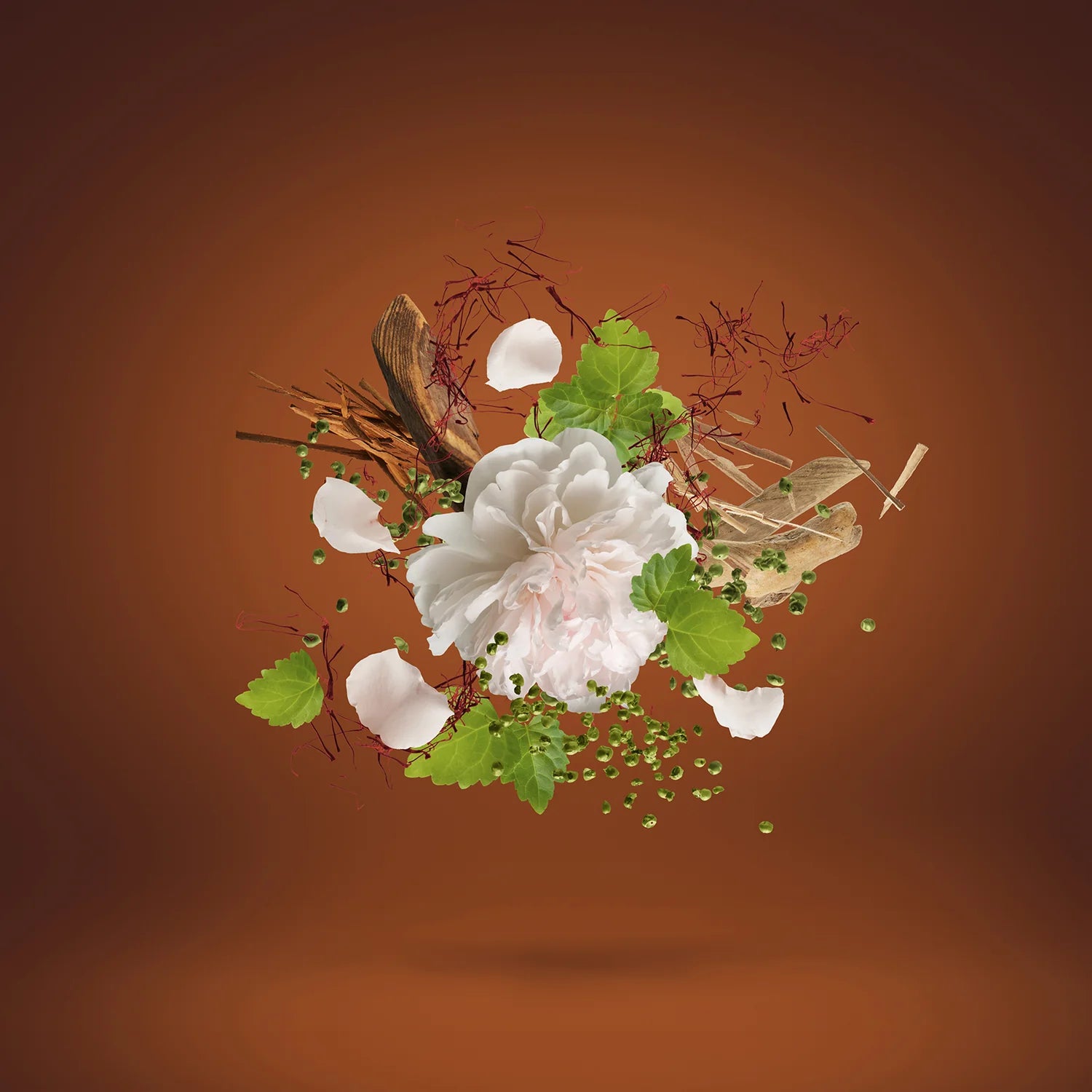 Casamorati 1888 Eau de Parfum