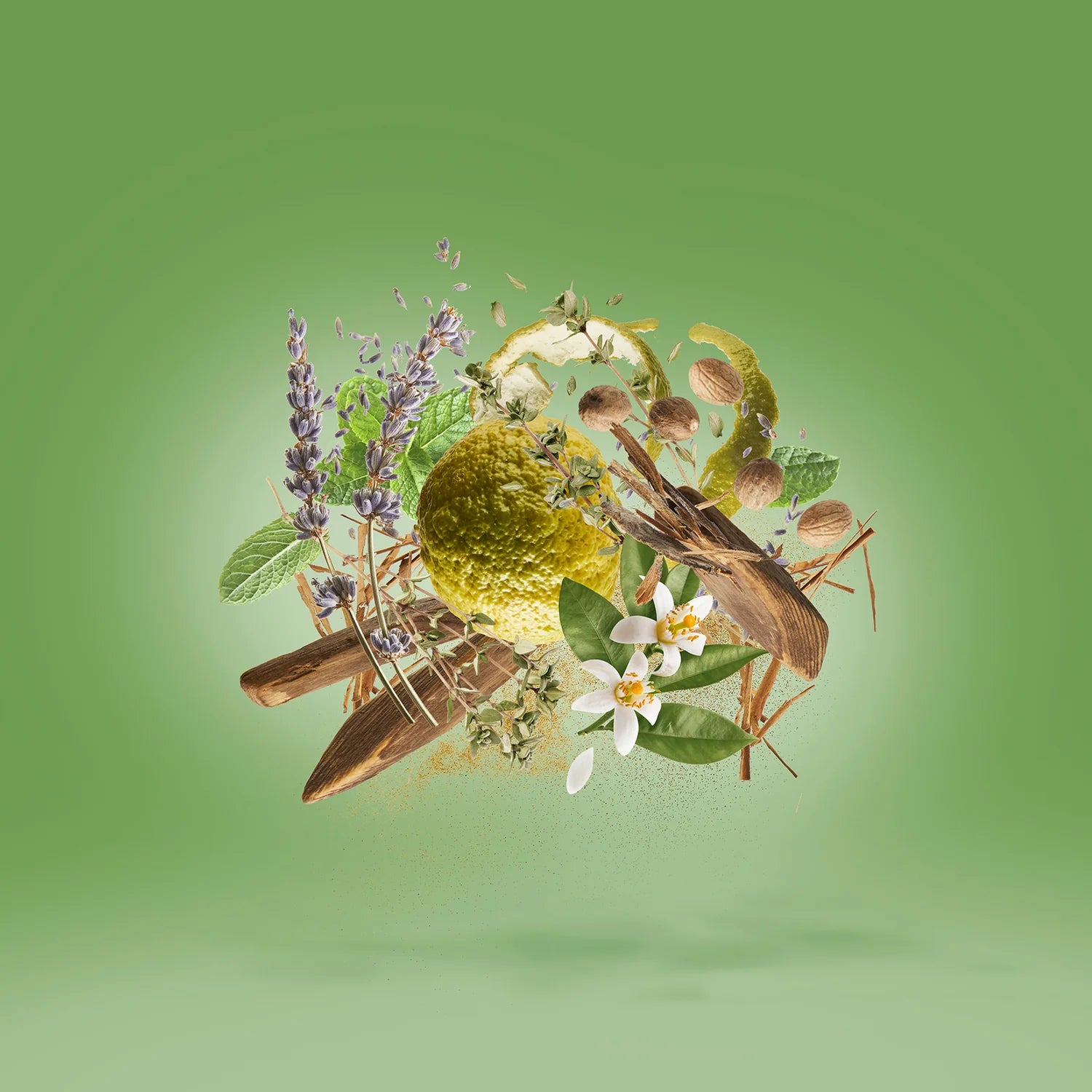 Casamorati Fiero Eau de Parfum