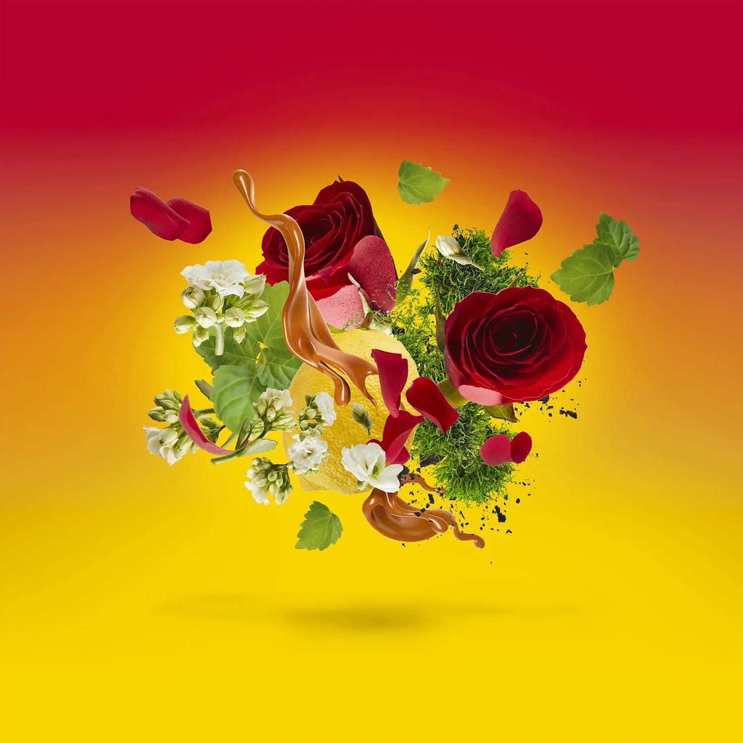 Casamorati Levar Del Sole Eau de Parfum