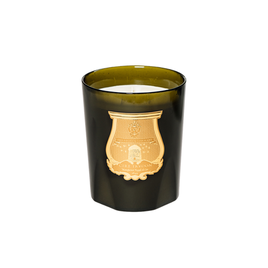 Cire Trudon La Grande Bougie Ernesto