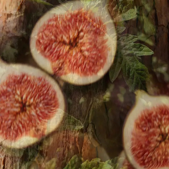 Vranjes Fico Aromatico Diffuser