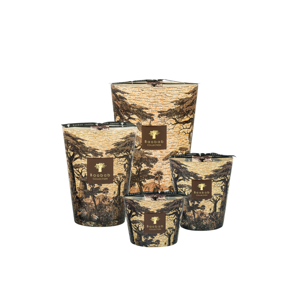 Baobab Candle Sacred Trees Mankono