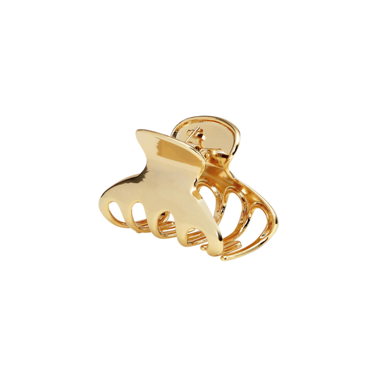 Sui Ava Glossy Hair Claw Golden