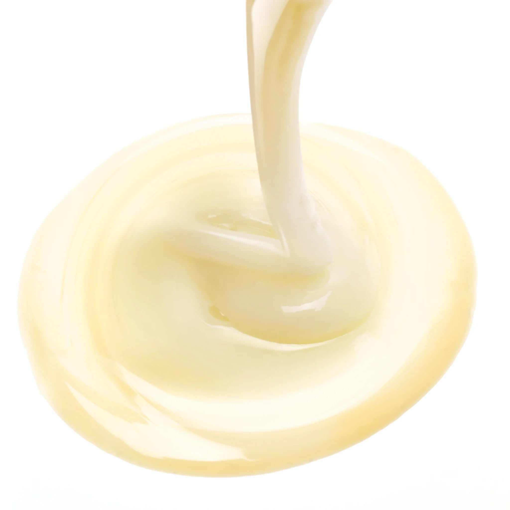 Leonor Greyl Shampooing Reviscence