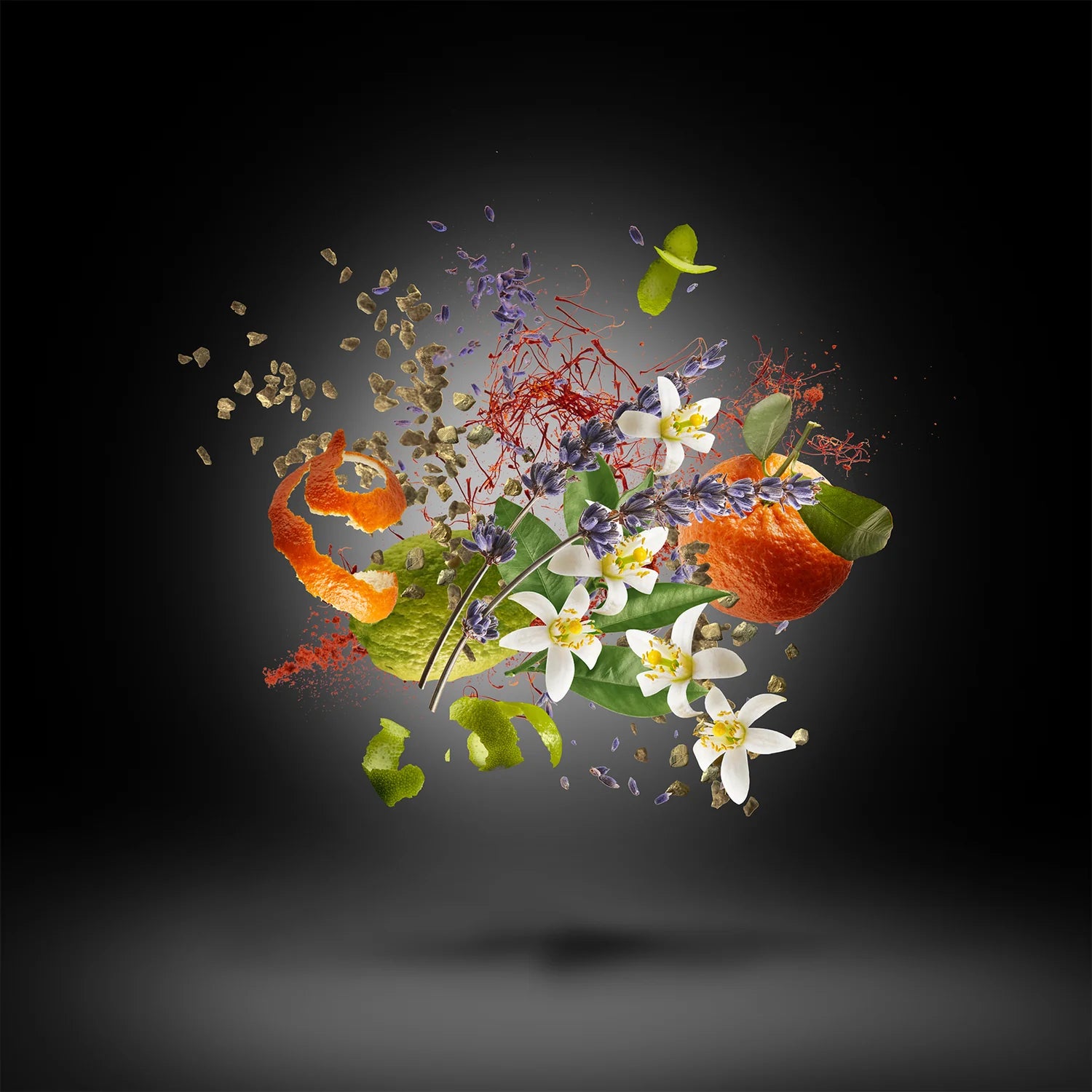 Xerjoff Blends Duran Duran Black Moonlight Perfume