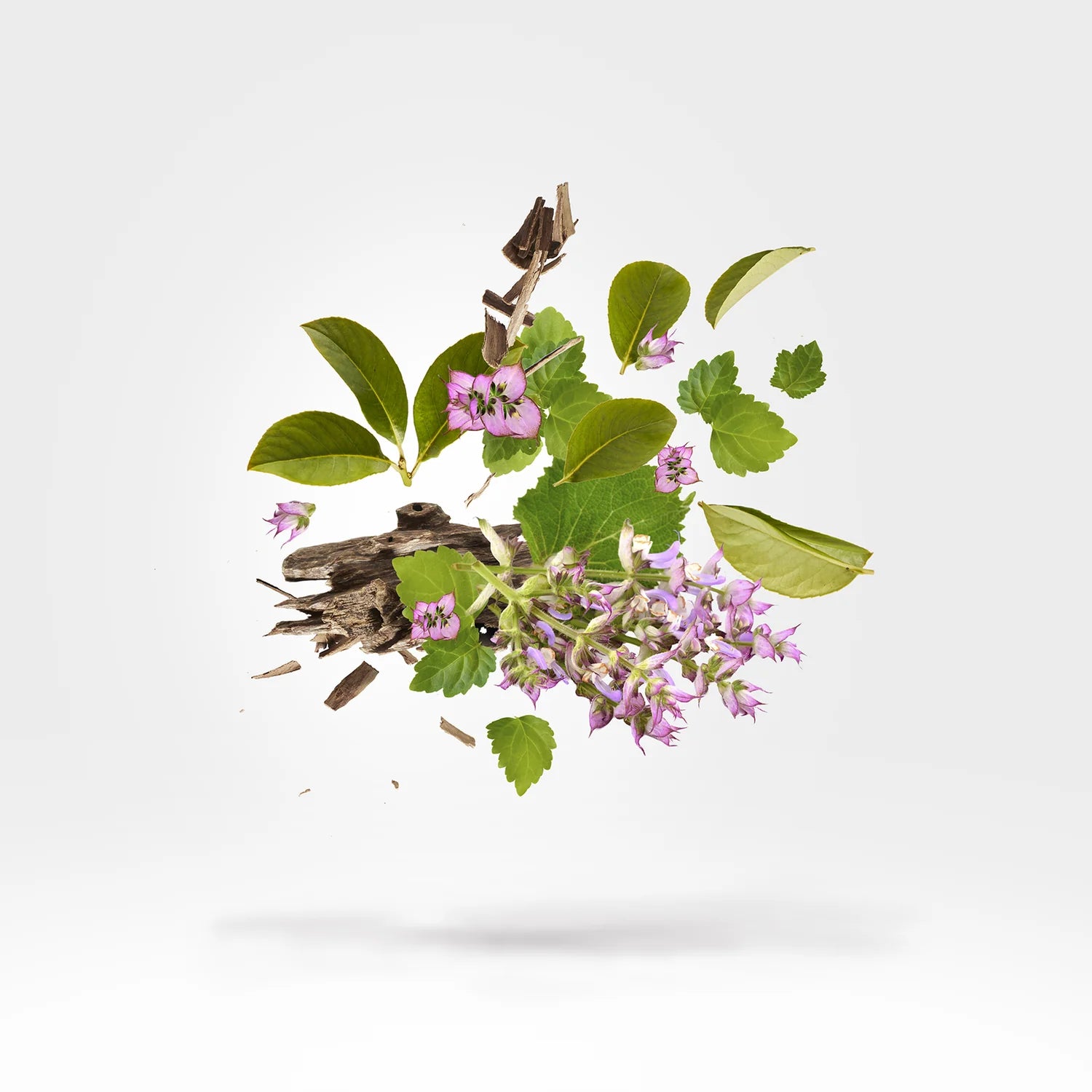 Xerjoff K Holysm Eau de Parfum