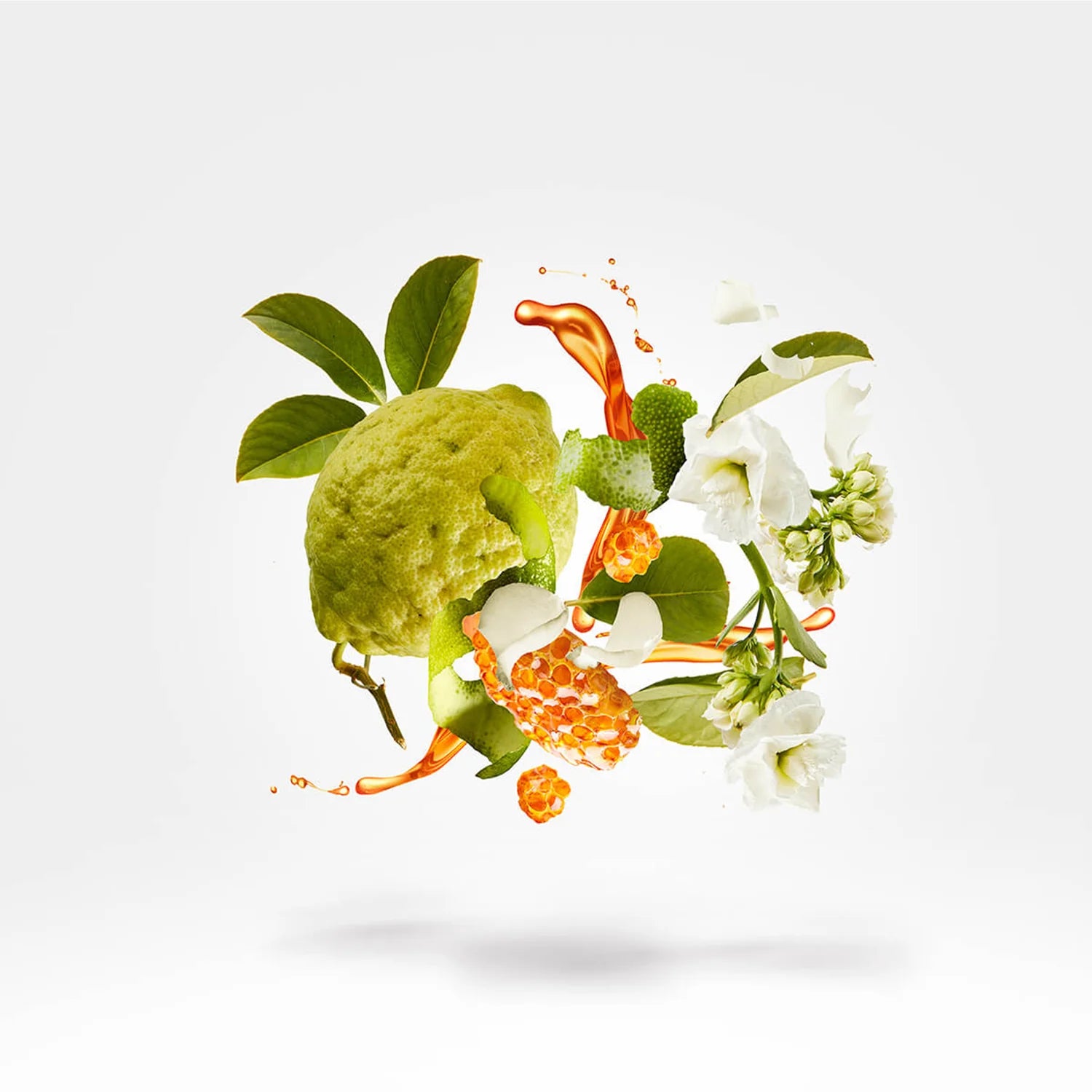 Xerjoff XJ 1861 Naxos